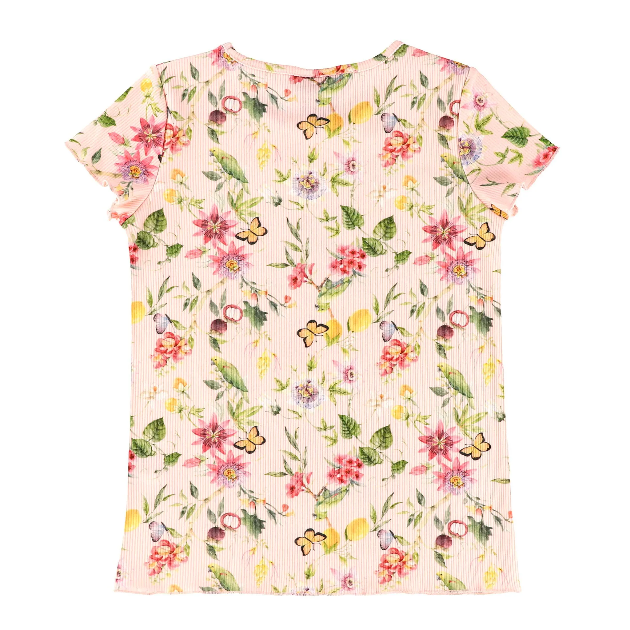 Chat Botté T-shirt Jardin Vivant 2-8ans