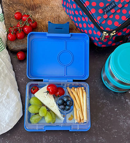 Yumbox Brotdose m. 3 Zimmer - Bento Snack - Surf Blue - Dino Tra