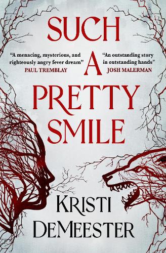 Such a Pretty Smile (Paperback)