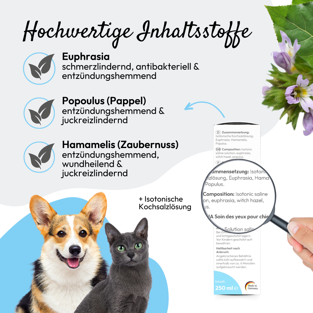 PHA AugenPflege für Hunde und Katzen Tropfen 100 ml