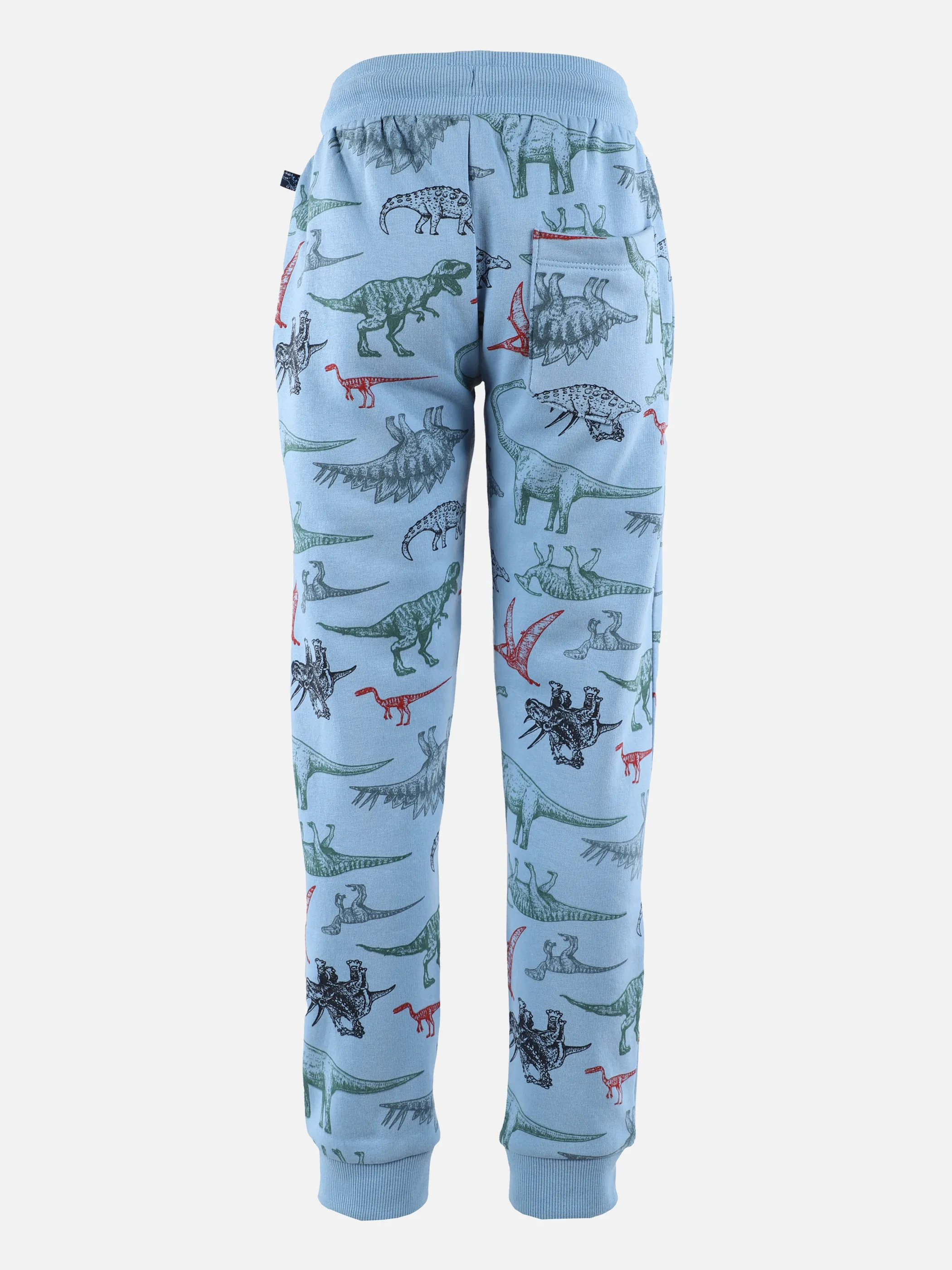 Jungen Jogginghose mit Dinoprint