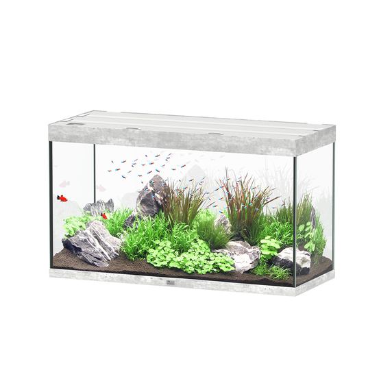 Aquarium Sublime Led 2.0 Pro Béton L.120x P.50x H.70cm