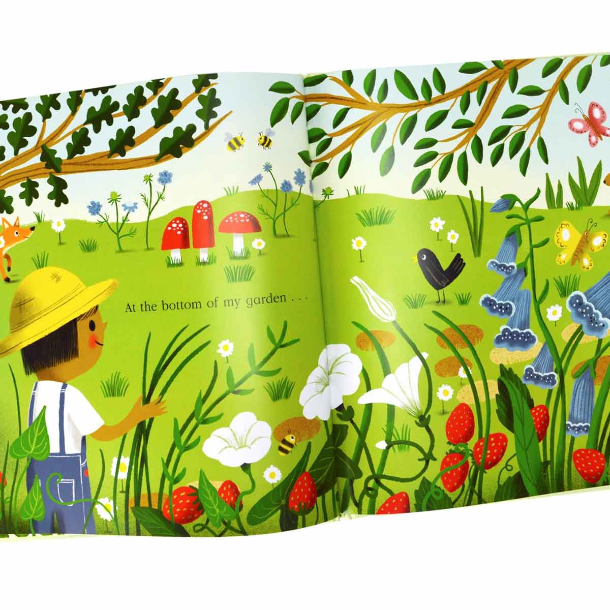 Nature Trail (Hardback)