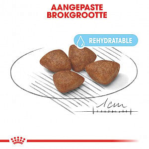 ROYAL CANIN® Small Dog Starter