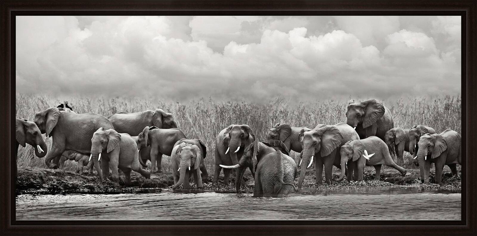 Malawi Elephant Breeding Herd by Horst Klemm - Limited Edition. Edition of: 150. Signed.