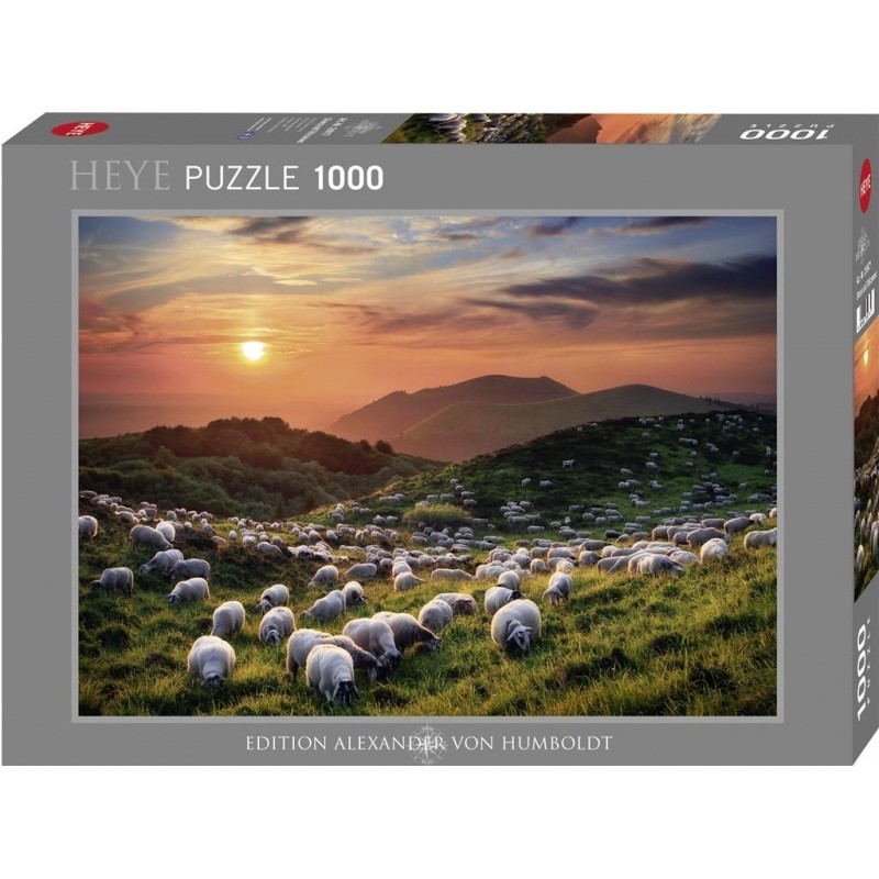 Puzzle 1000 pièces - Editions von Humboldt - Sheep and Volcanoes