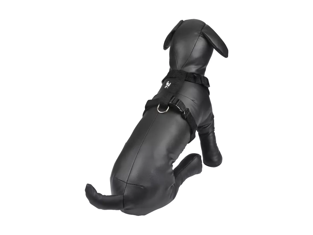 Harnais pour Chien 