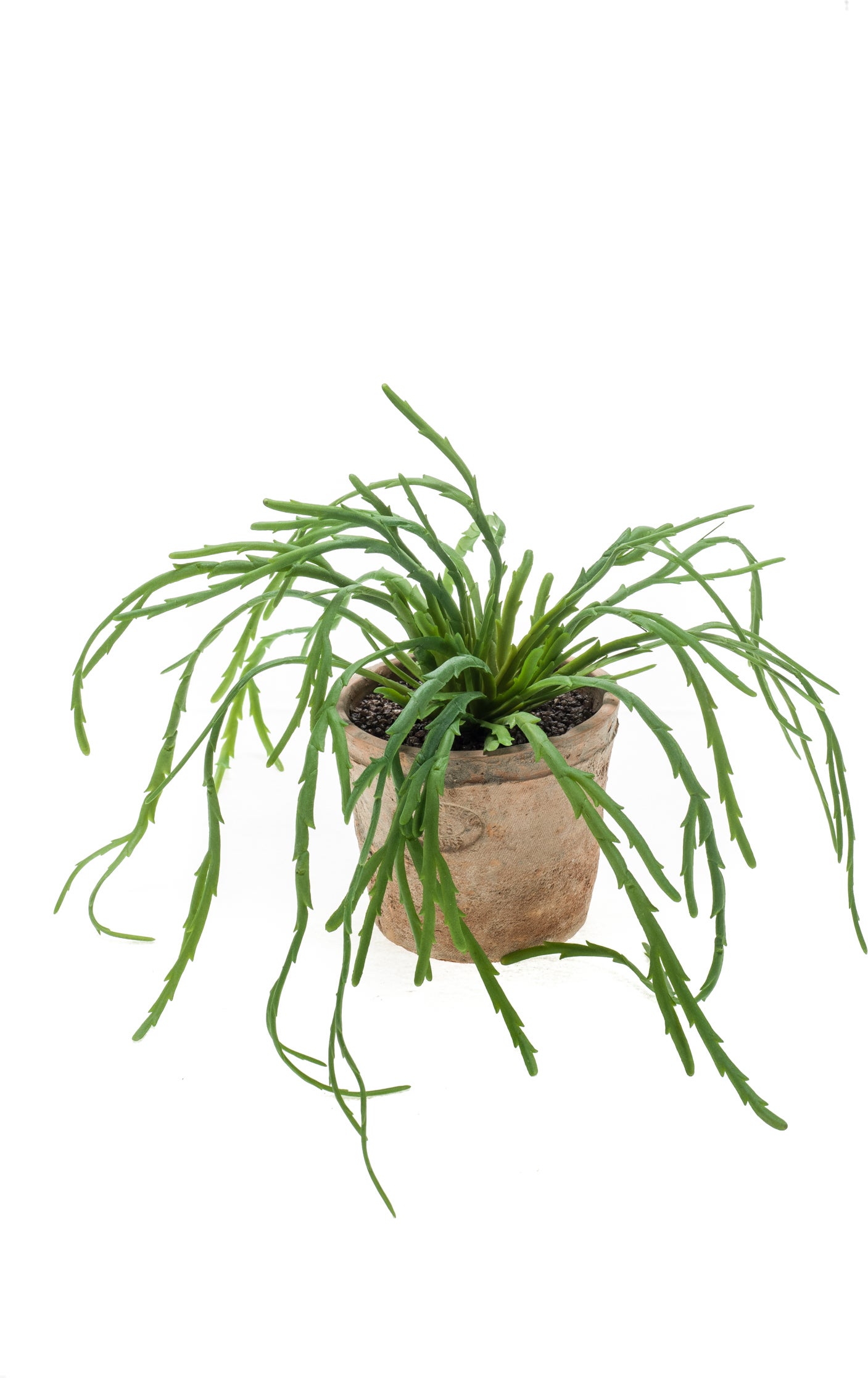 Emerald kunstplant Rhipsalis 35 cm