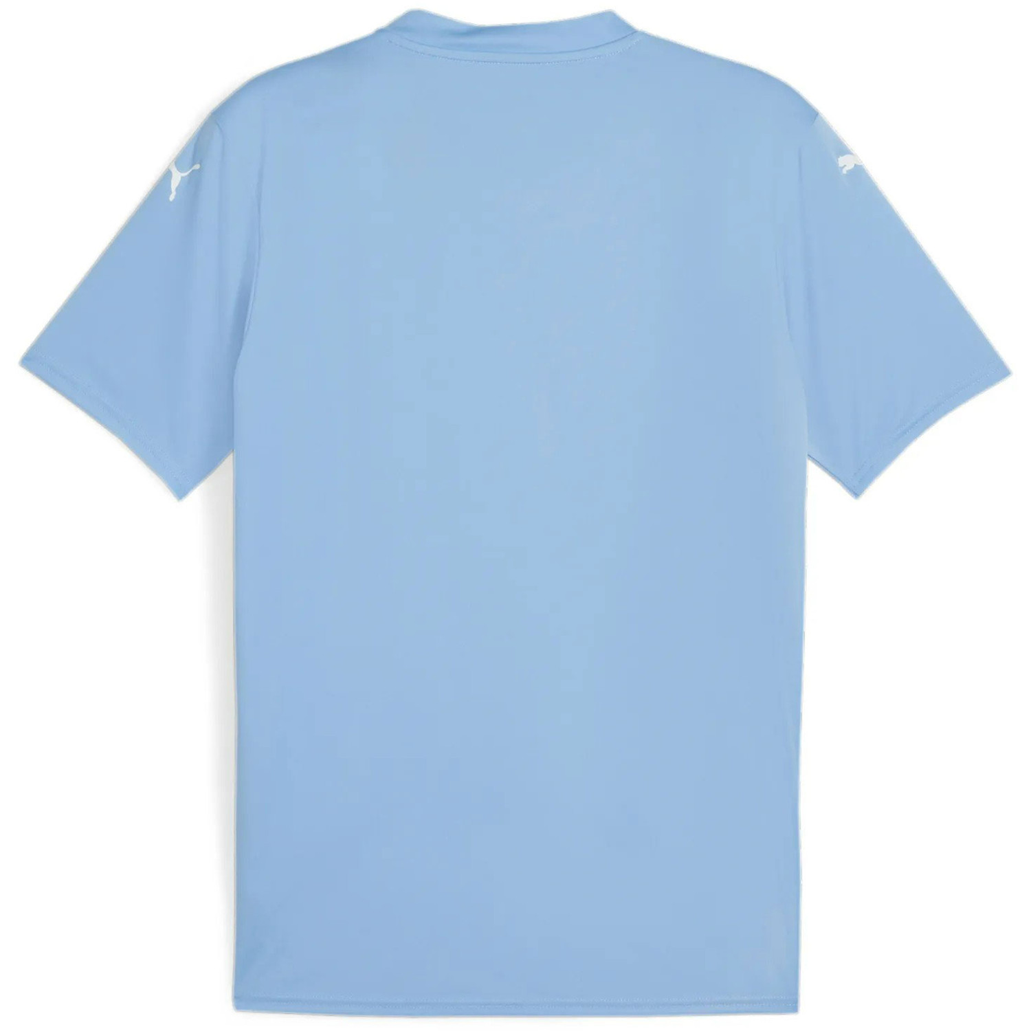 Puma GLORY Keepersshirt