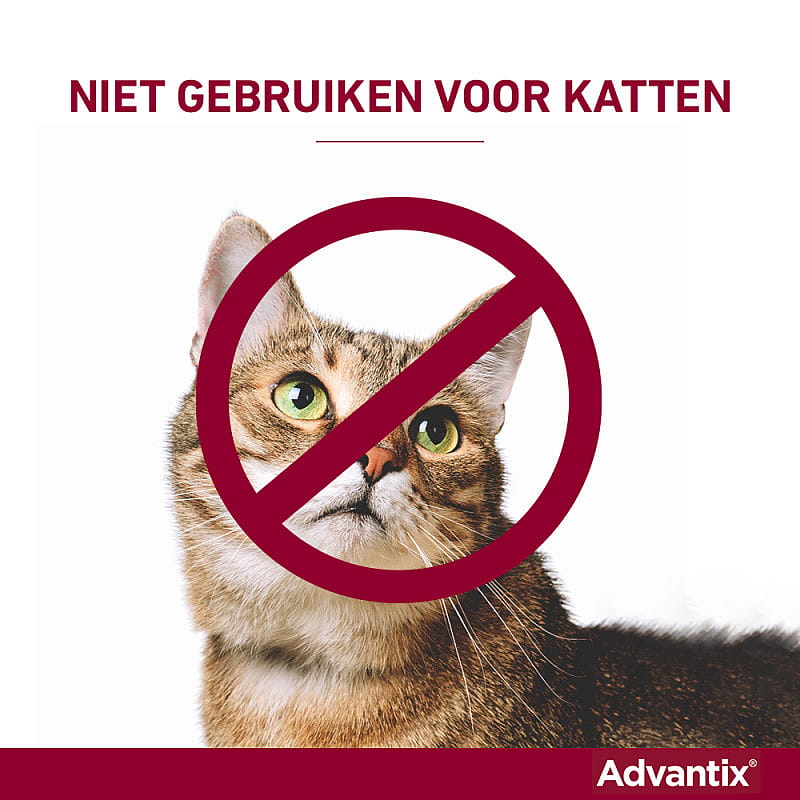 Advantix vlooienmiddel hond
