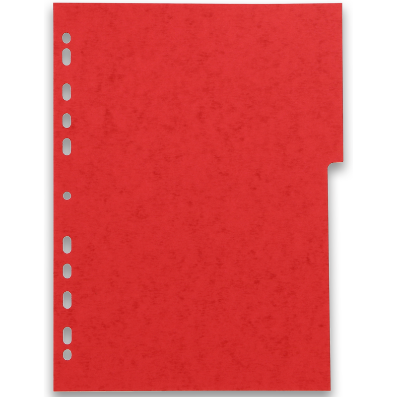 Intercalaires neutres A4 12 positions carte lustree 225g assorti