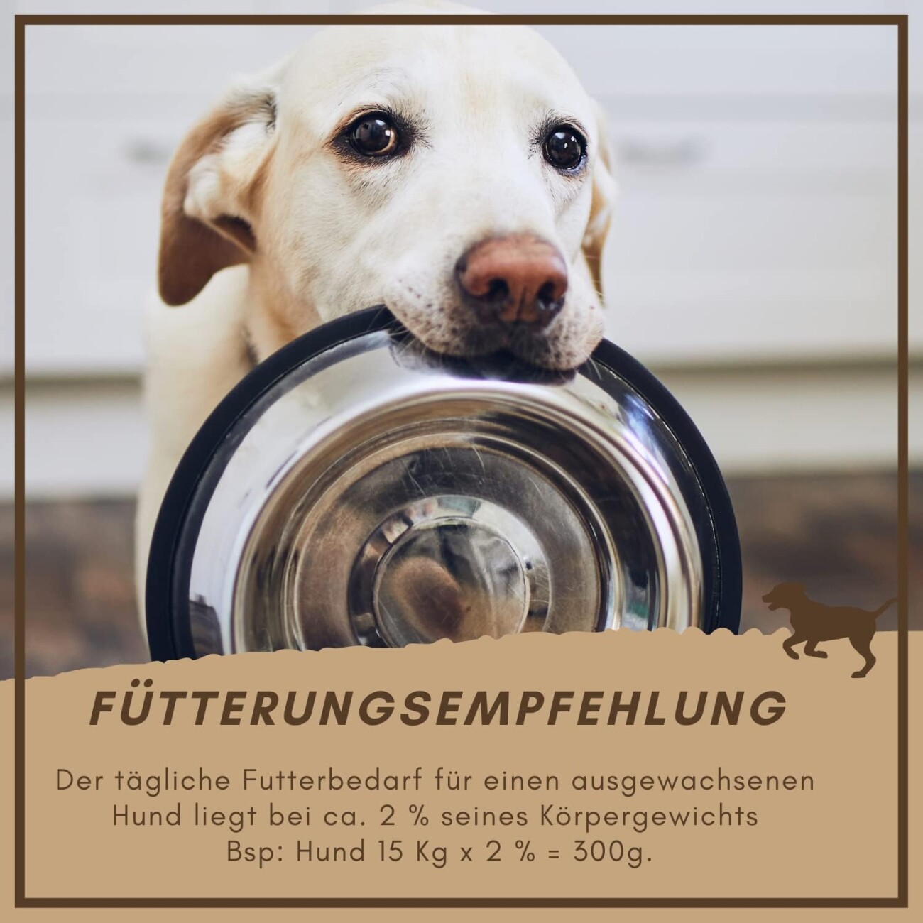 Supravit Hundefutter trocken getreidefrei schmackhaftes Trockenfutter Hund mit Lamm & Reis I Trockenfutter für Hunde mit hochwertigen Proteinen & gesunden Kohlenhydraten I gut verträglich 4 kg