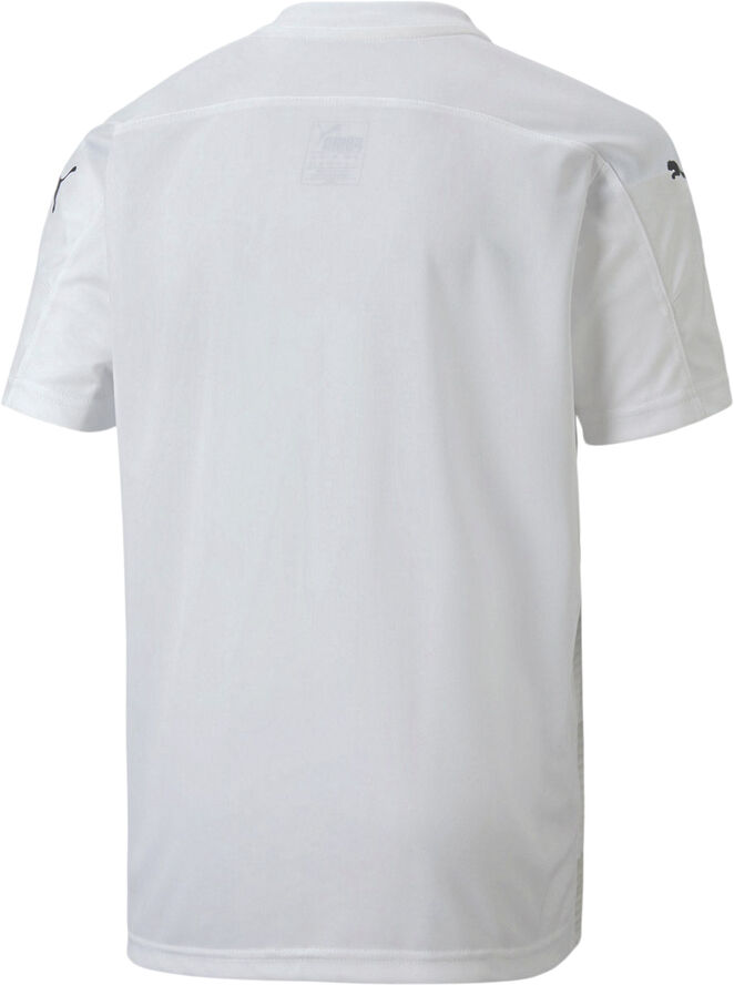 Puma Teamfinal 21 Graphic T-shirt Hvid