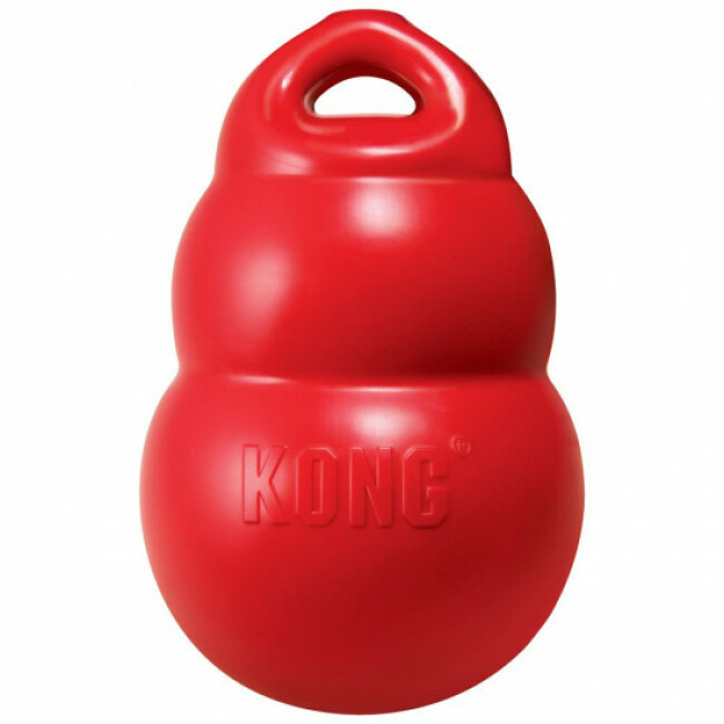 KONG Bounzer jouet dentaire résistant pour chien