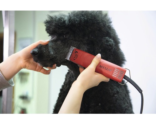 FAV5 tondeuse voor kleine dieren
