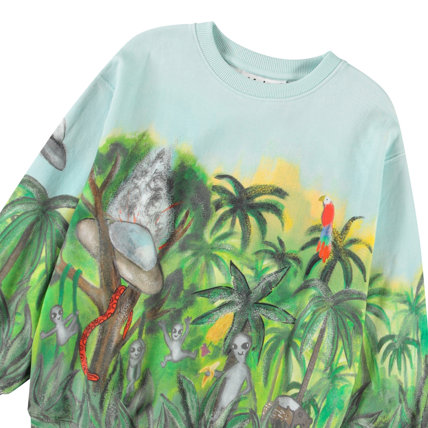 Monti - Jungle Visitors