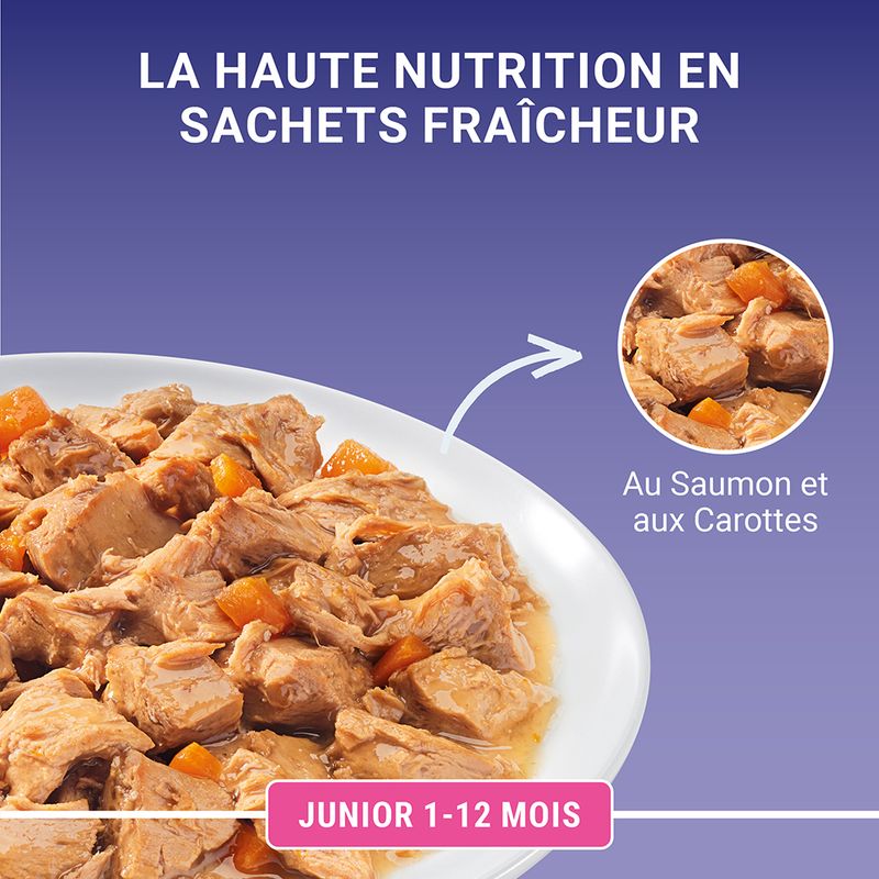 PURINA ONE Junior, saumon & carottes