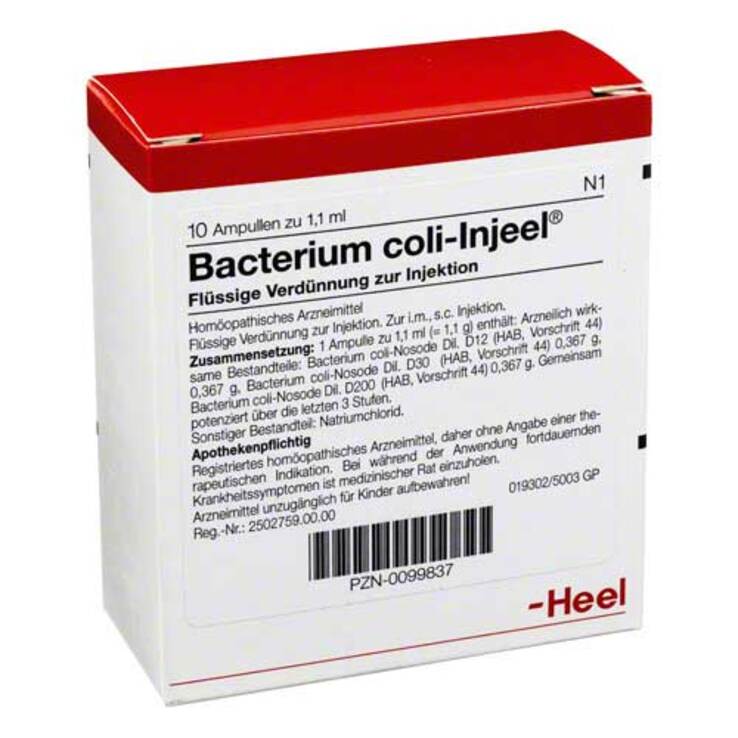 Bacterium coli Injeel Ampullen, 10 St