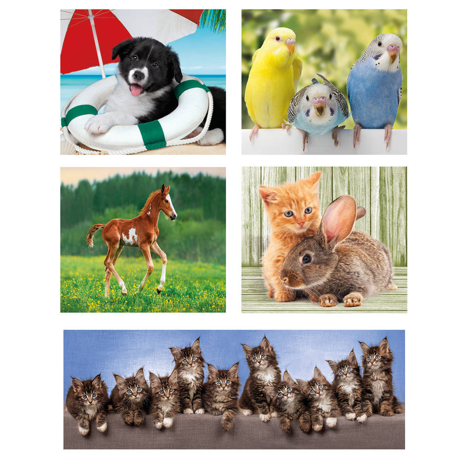 Clementoni 10-in-1 puzzelset dierenvrienden - 18 + 30 + 48 + 60 stukjes