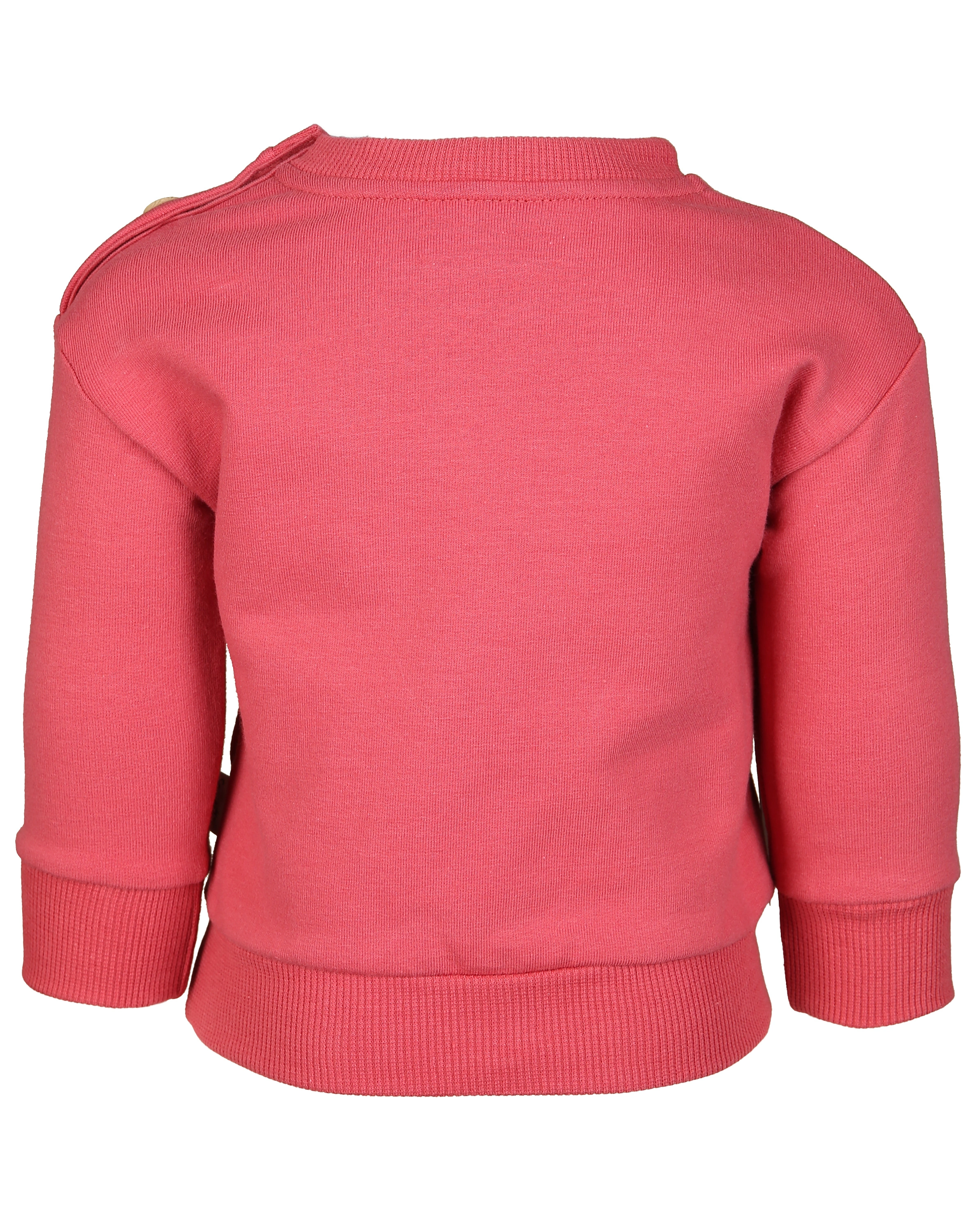 Sweatshirt PUMPKIN in cherry blush