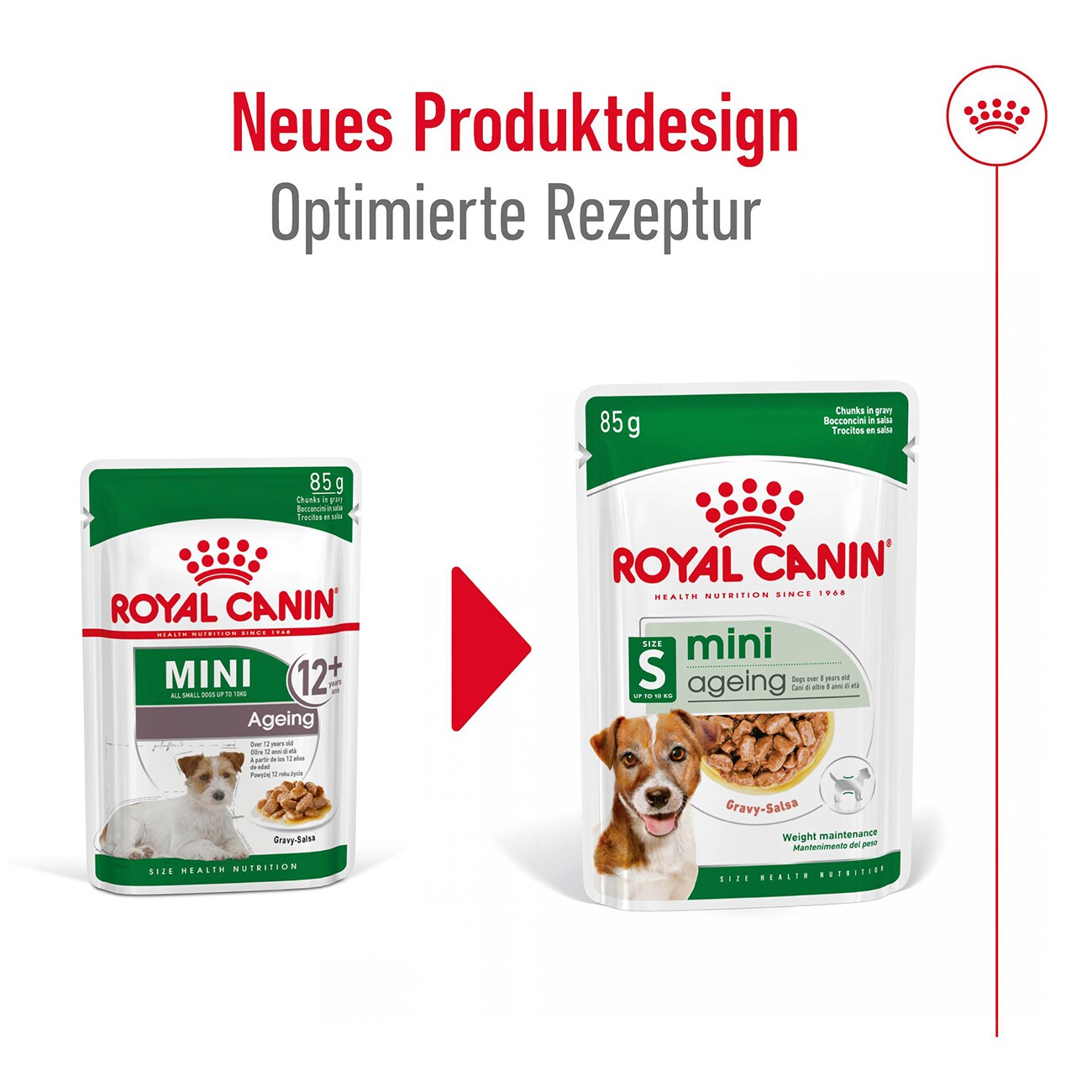 ROYAL CANIN Mini Ageing 12+ in Soße 12x85 g
