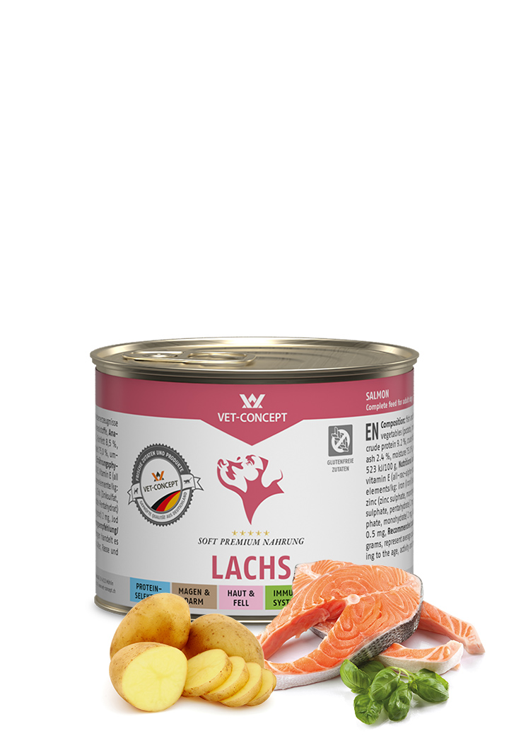 Hundemenü Lachs