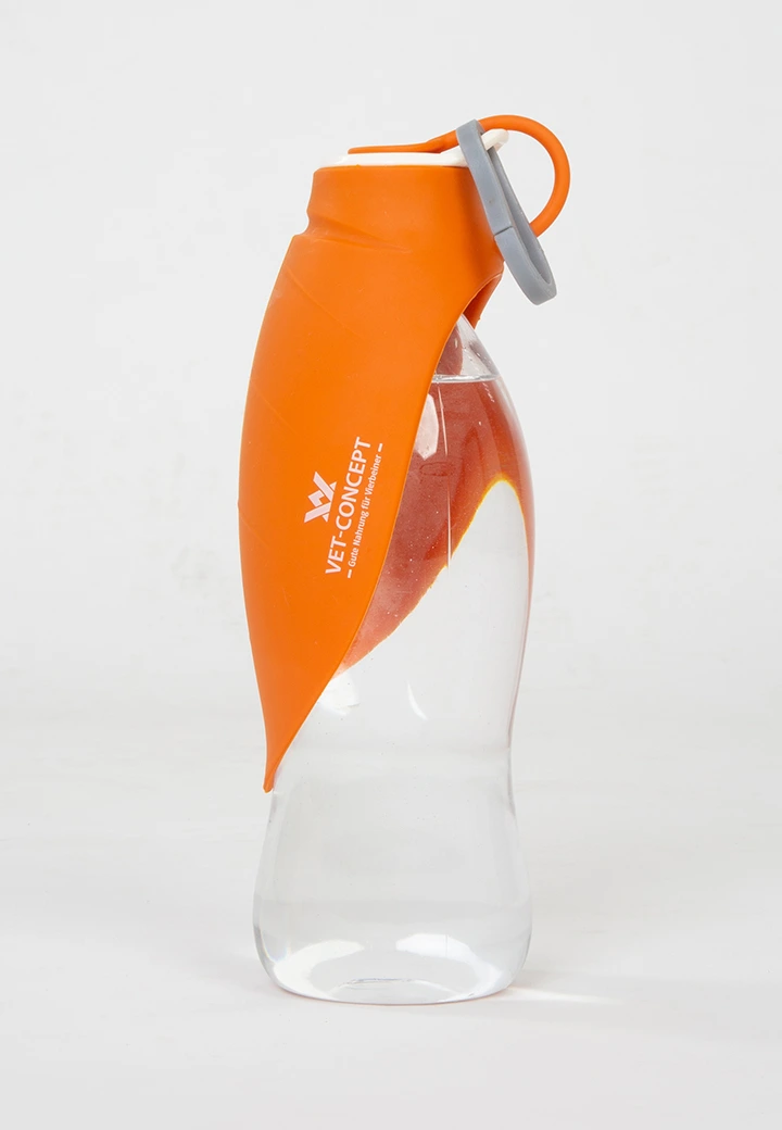 Reisetrinkflasche 