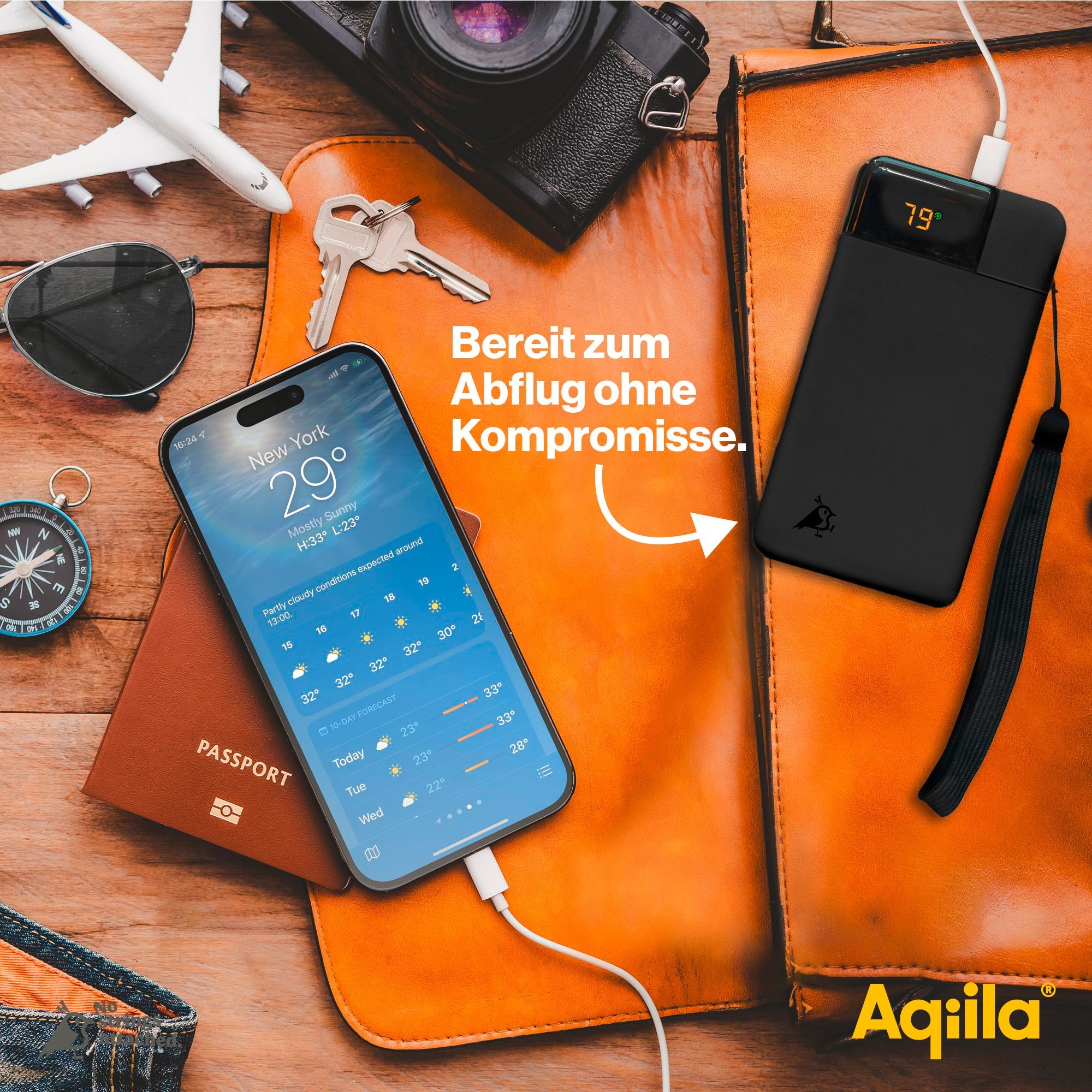 Aqiila Powerbird Powerbank 20 W 10000 mAh schwarz