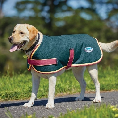 Casaco estilo parka para cães nas cores verde-azulado/cereja/amarelo.