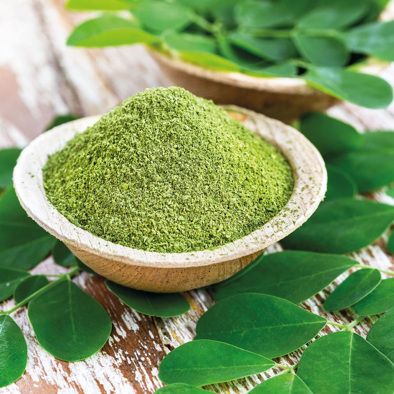 GreatVita Bio Moringa Pulver