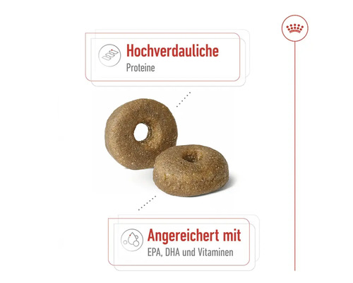 Droog hondenvoer, ROYAL CANIN Maxi Ageing 8+, 15kg