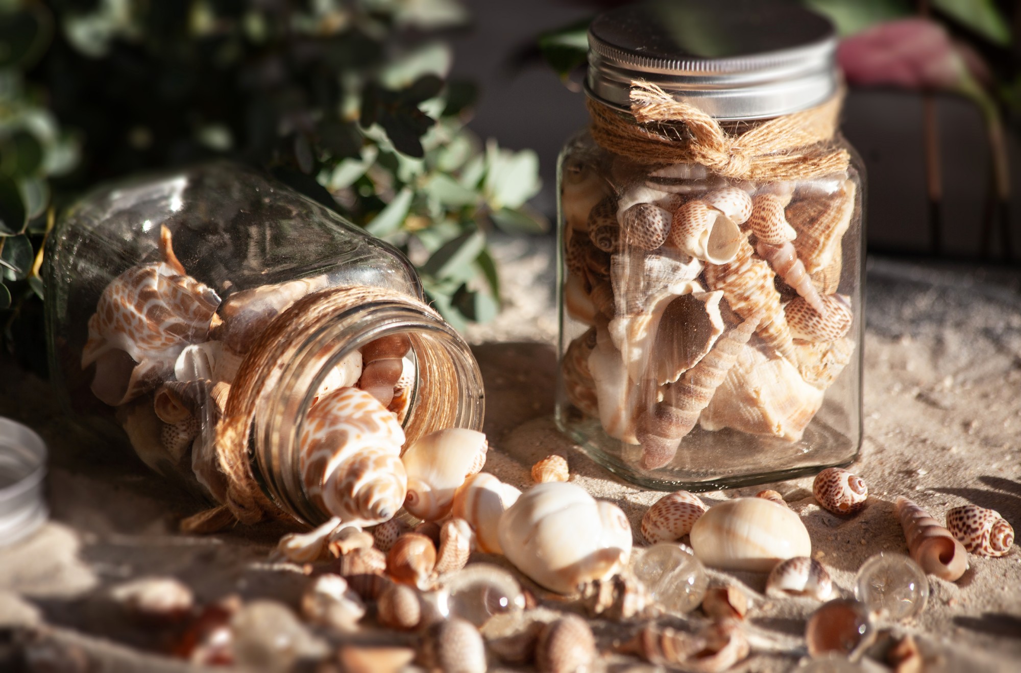Muscheln & Schnecken im Glas, H 11 cm, B 7 cm, L 7 cm von fischer's lagerhaus