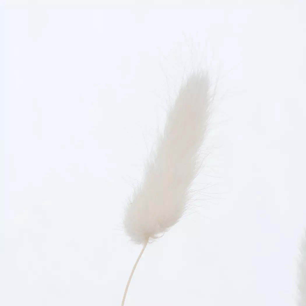 Deko-Zweig Samtgras 70 cm