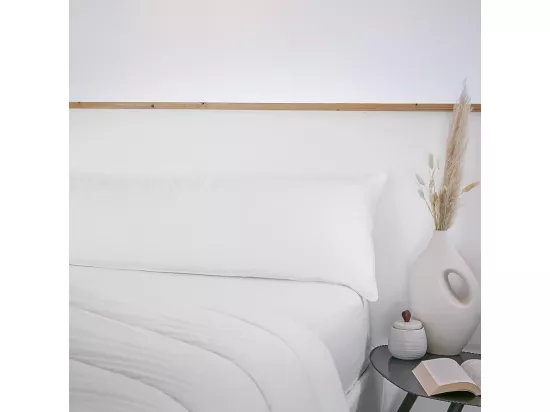 SOFTLINE - Traversin Coton anti-acariens 160 x 40 cm
