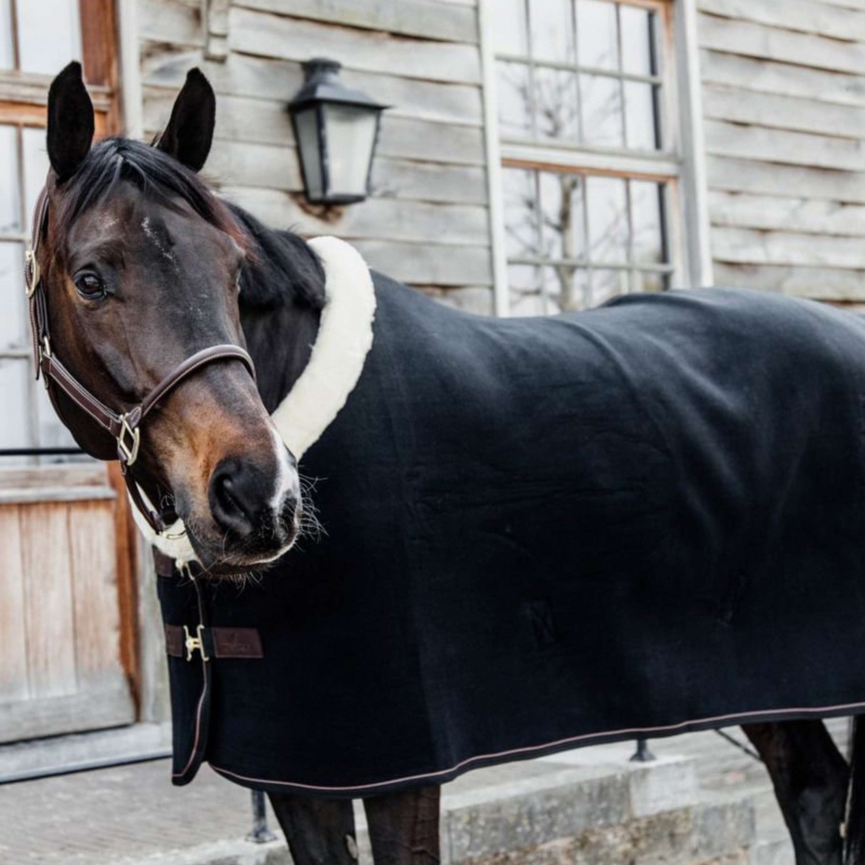 Kentucky Zweetdeken Show Fleece Heavy Zwart