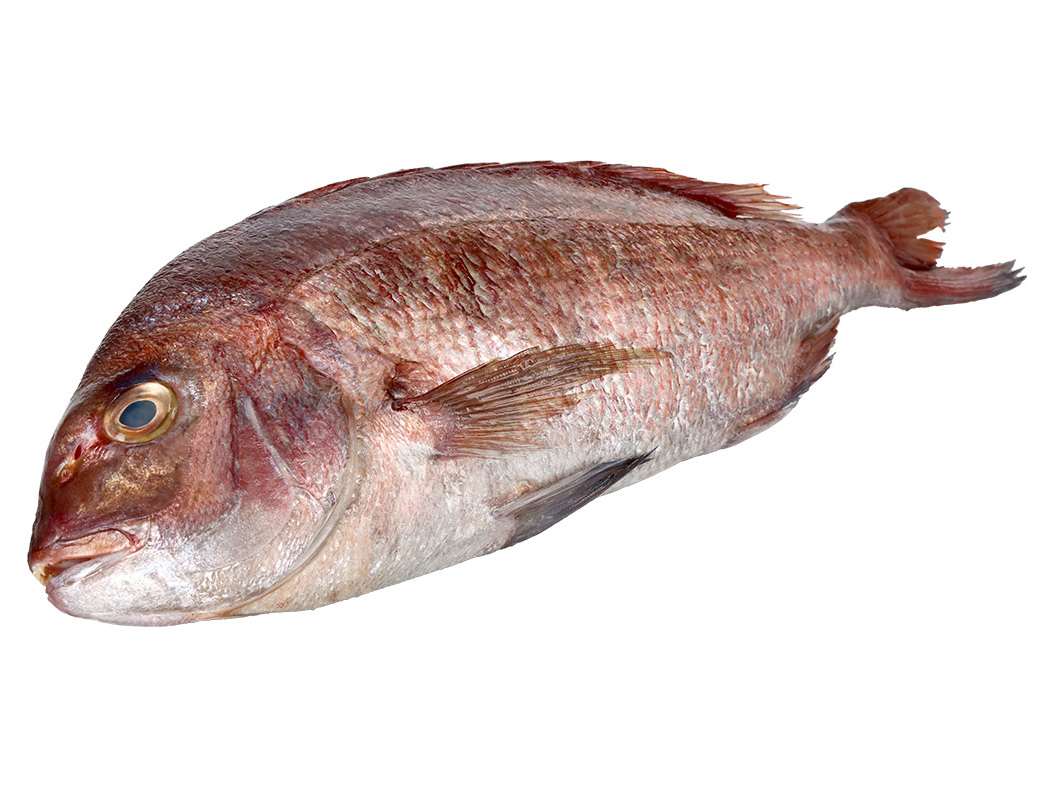 PARGO LEGITIMO MEDIO KG