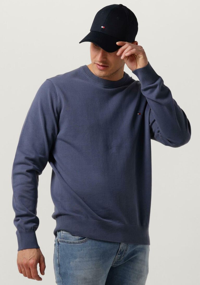 TOMMY HILFIGER paarse tommy hilfiger sweater 1985 crew neck sweater