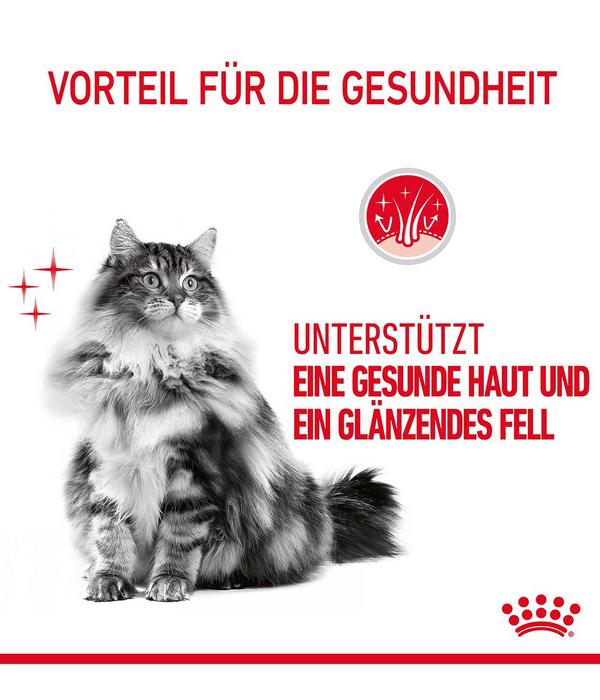 ROYAL CANIN® Trockenfutter für Katzen Hair &