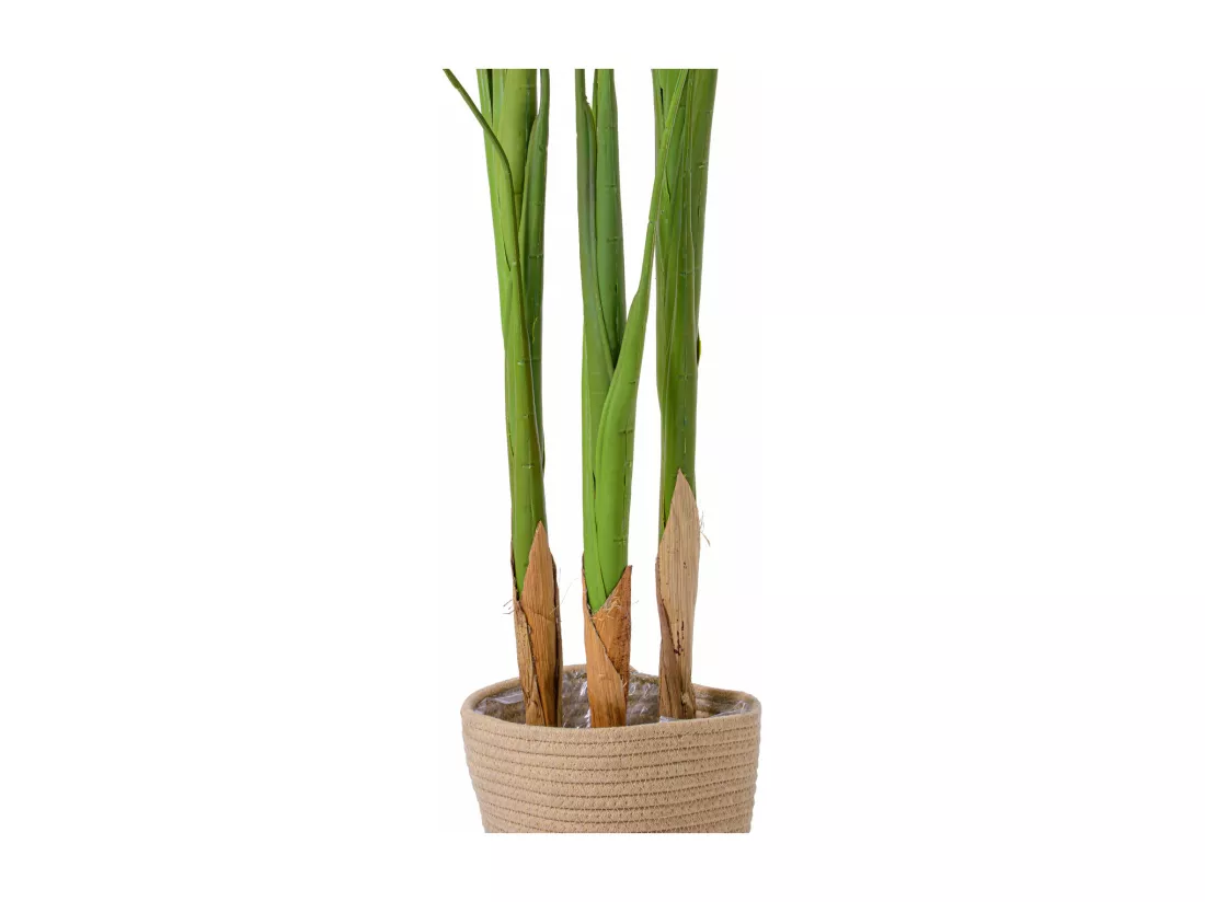 Bird of Paradise - Plante artificielle en pot H160 cm