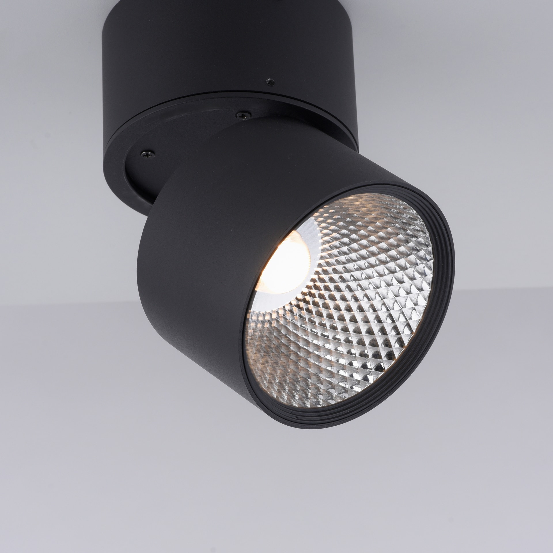 Paul Neuhaus LED Deckenlampe mit 1 Spots PURE-NOLA 15 cm schwarz