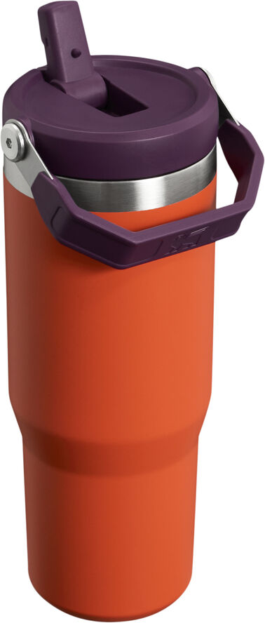 Stanley IceFlow Flip Straw Tumbler 0. 89L
