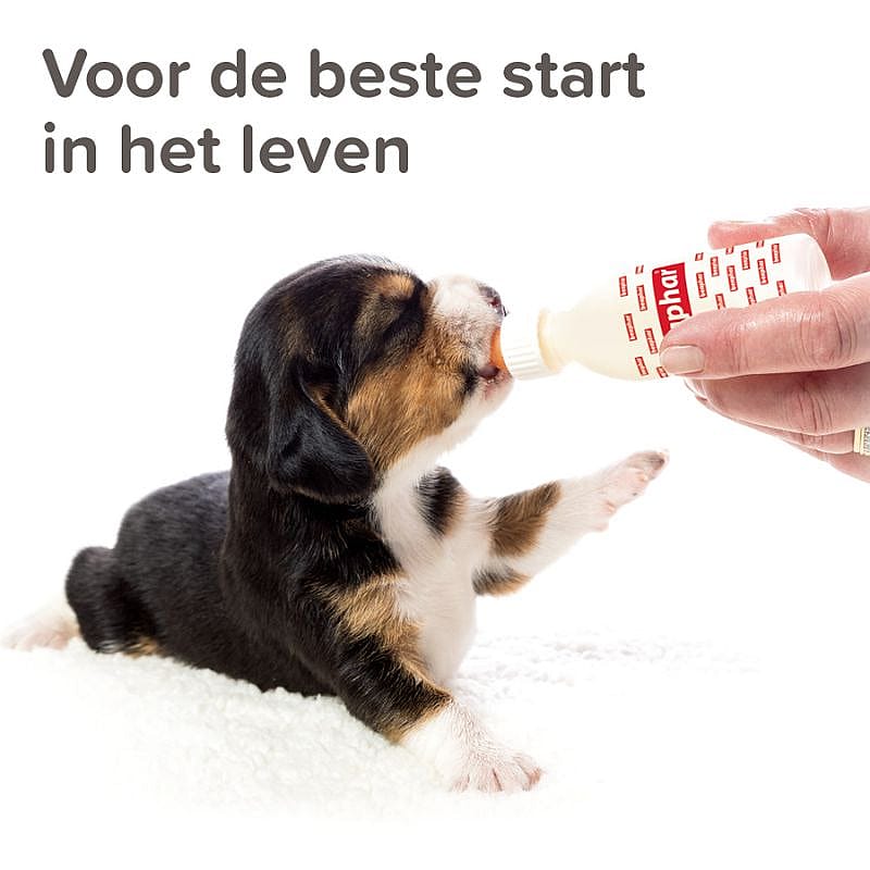 Beaphar Lactol Voedingsset (zuigflesje + speentjes) Hond Kat | 15758