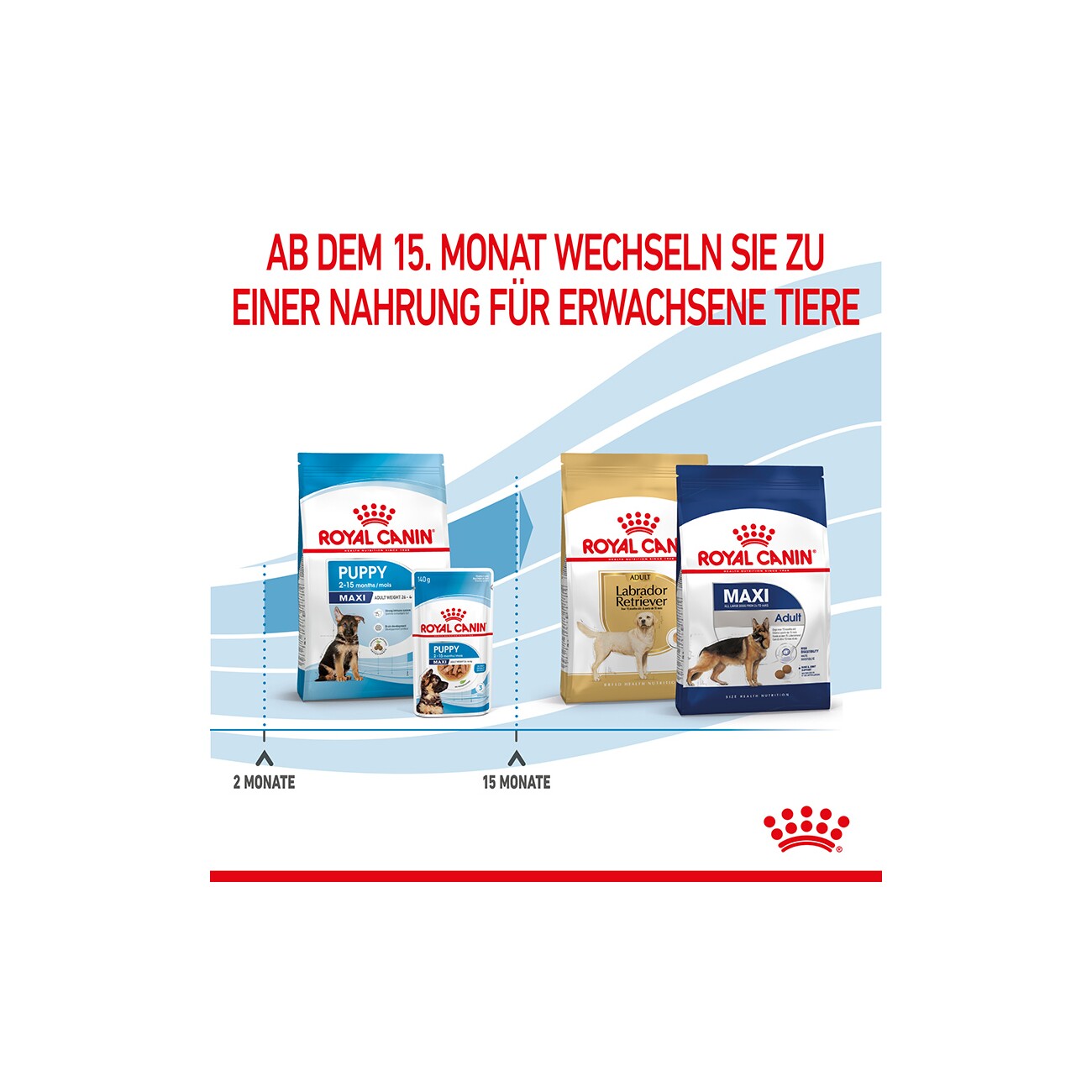 ROYAL CANIN Maxi Puppy 4 kg