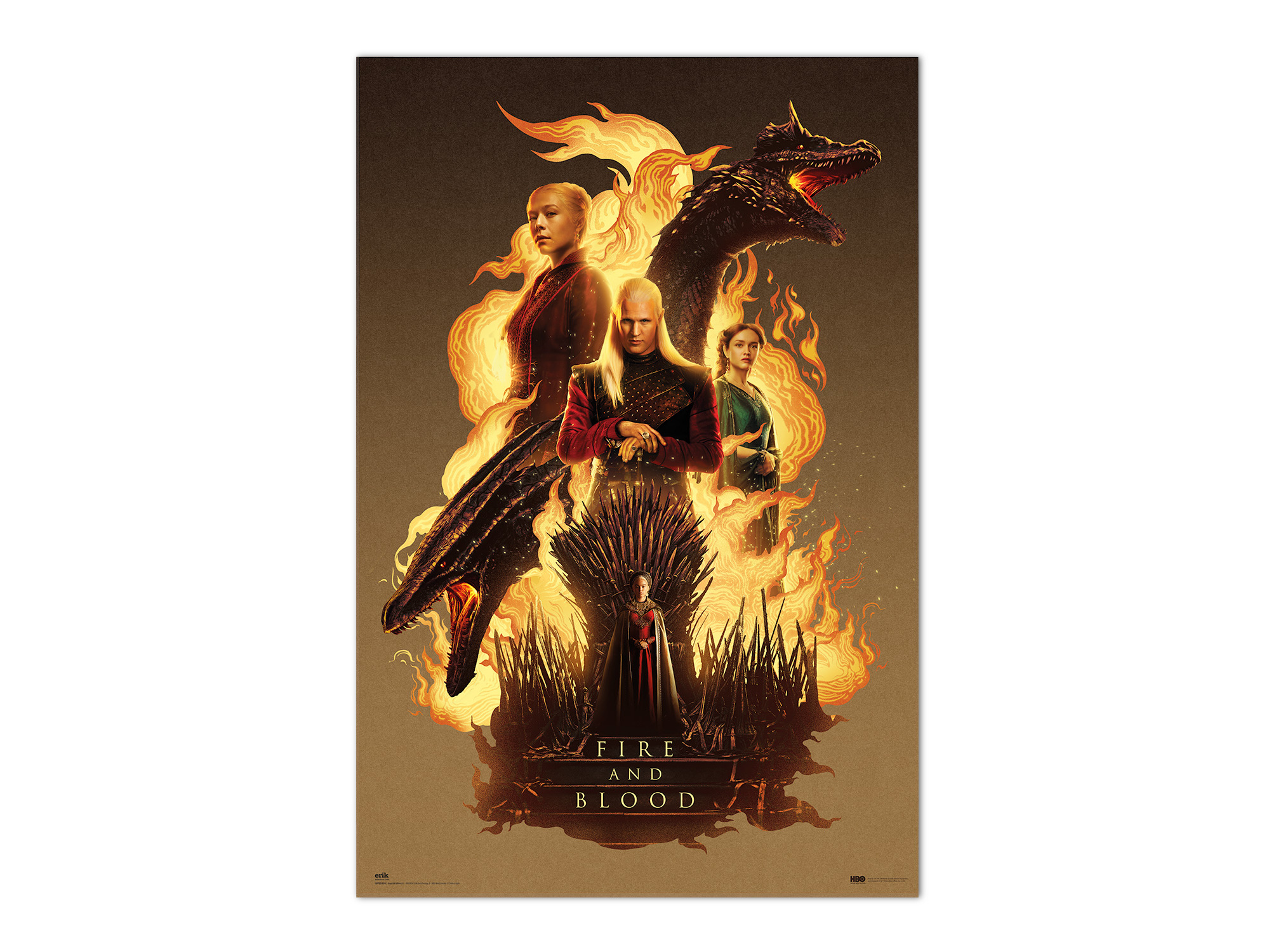 POSTER A CASA DO DRAGAO FIRE