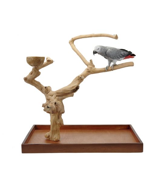 Sky Pet Products Java Mini Tree - Vogelverblijven-Toebehoren - per stuk Large