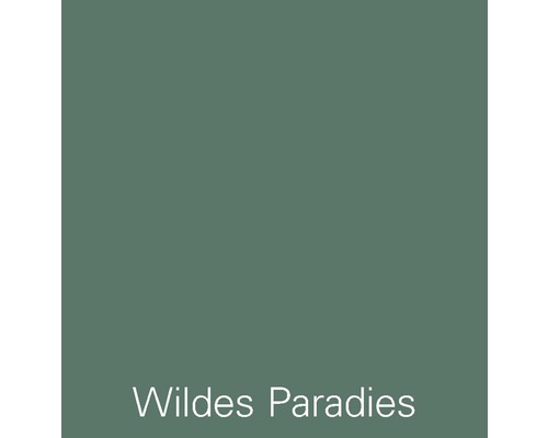 Alpina muurverf kleur recepten Wild Paradise 1 l