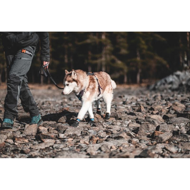 Protector Booties - Chaussures pour chien