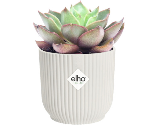 elho Vibes opvouwbare ronde mini plantenbak, kunststof, Ø 7 cm, H 6,5 cm, wit
