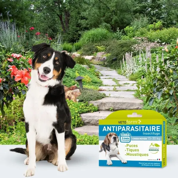 Vetoform Antiparasitário para cães de porte médio (15-30 kg) (3 pipetas de 3 ml)