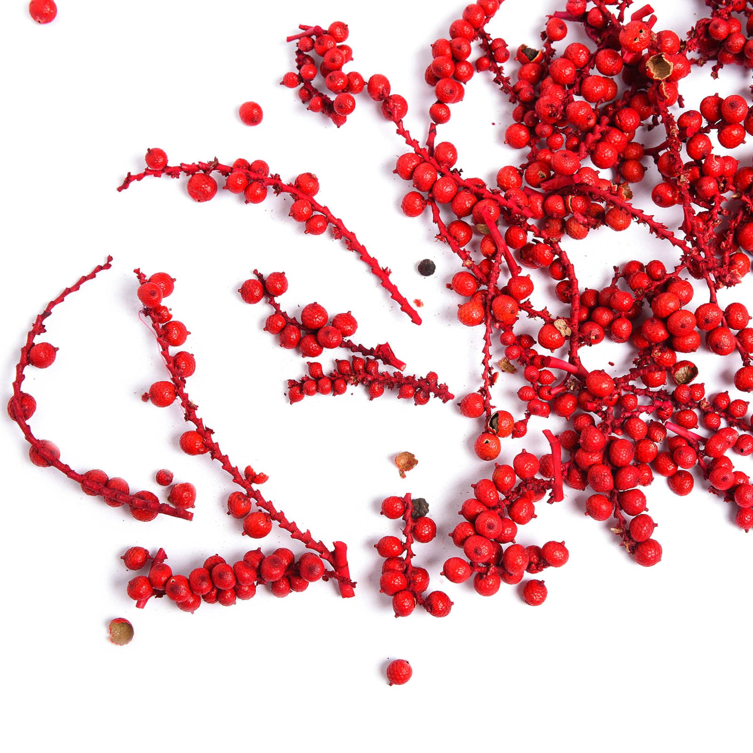 rot, 100 g